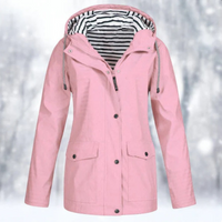 Pinkki